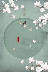 看片网站